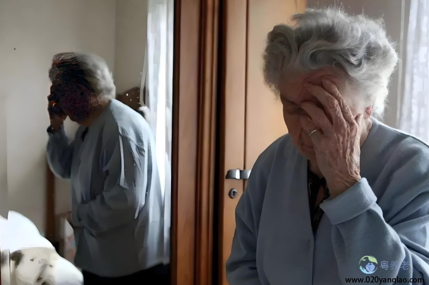 广州养老政策新动态：全方位提升老年人福祉