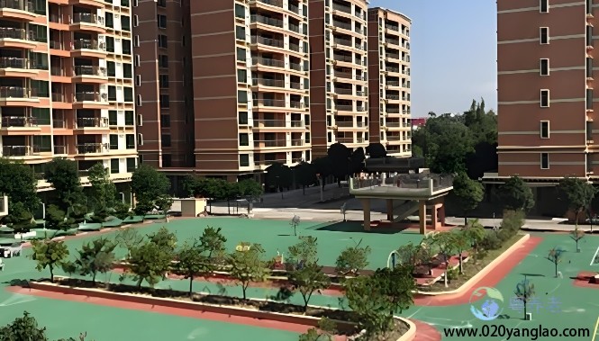 广州市康寿颐养院乐苑费用，2025广州市康寿颐养院乐苑信息公布一览