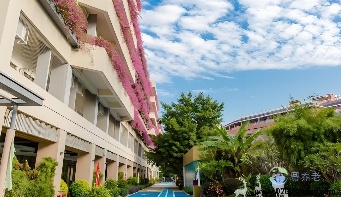 广东颐寿养老院麓湖家长荟分院费用，2025广东颐寿养老院麓湖家长荟分院信息公布一览