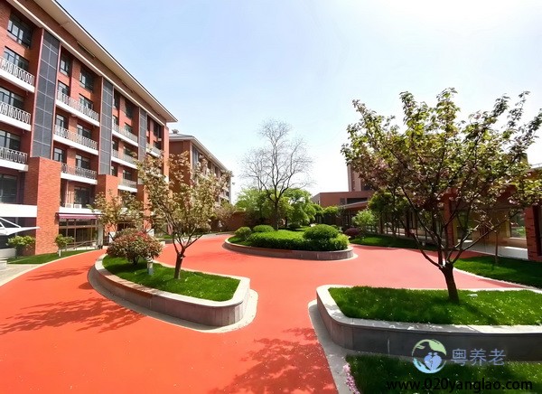 广州养老院排名前十名权威榜单发布，优质机构助力晚年幸福生活