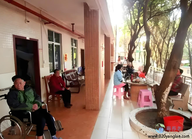 广州市黄埔区龙头山寿星院