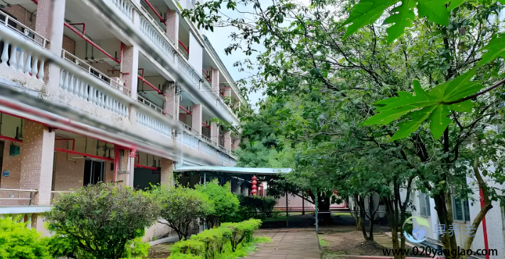广州花山镇敬老院
