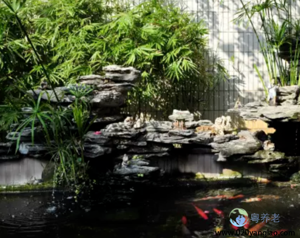 广州市荔湾区养和怡老院