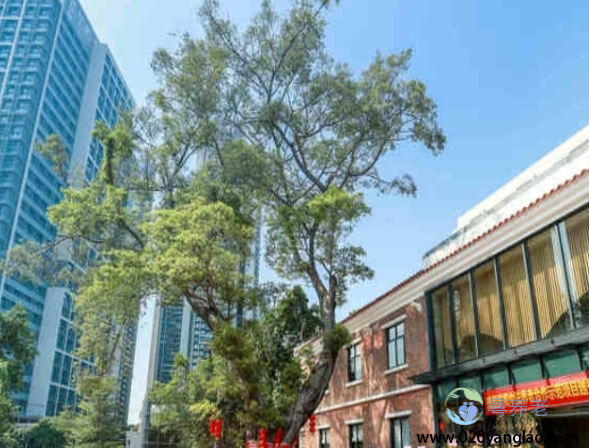 广州海颐苑养老院
