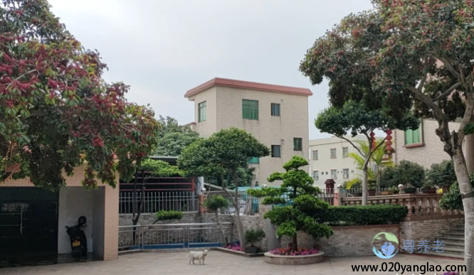 广州市南沙区榄核镇敬老院