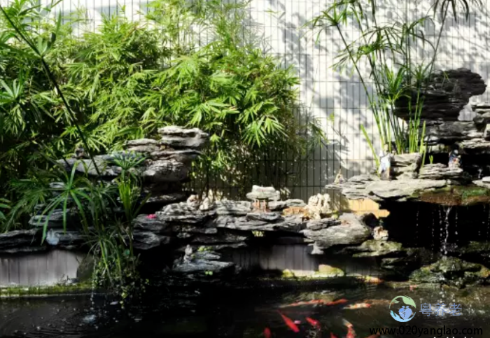 广州市荔湾区养和怡老院