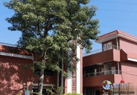 广州番禺区钟村街敬老院